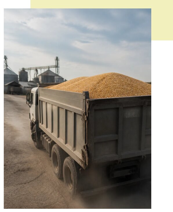 Перевозка сельхозпродукции навалом в Пугачёв по цене от 3048 р. | Агросервис-Пгч